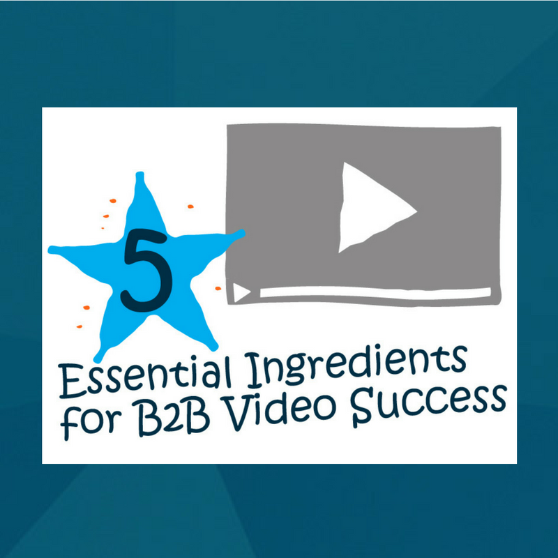 Ingredients for B2B Video Success eBook